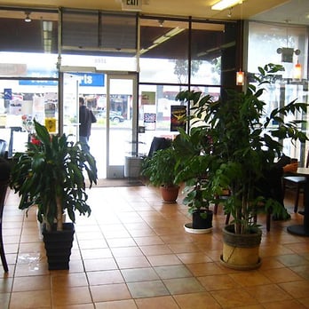 Cup & Cake Cafe - Interior - Coffee & Tea Near Me - San Francisco, California