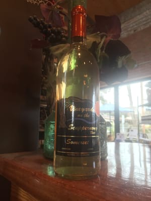 Vineyards On the Scuppernong by null