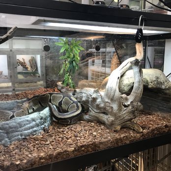 Little Amazon Fish & Pets - Cramped. - Pet Stores Near Me - Seattle, Washington