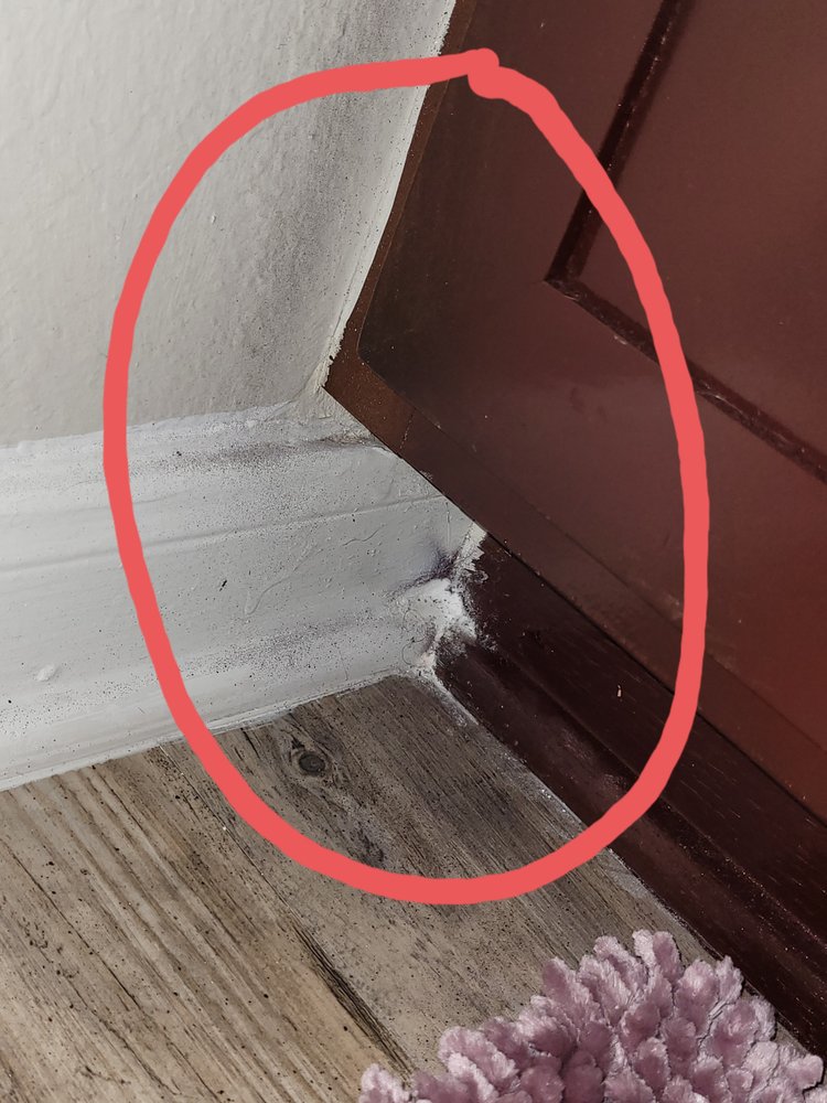 ADVENIR ON ADDISON Updated September 2024 125 Photos & 21 Reviews