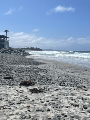 Cardiff State Beach by null