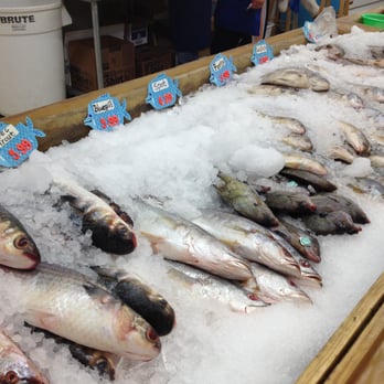 Jackie's Seafood Market - Fish display - Seafood Near Me - Savannah, Georgia Jackie's Seafood Market - Fish display - Seafood Near Me - Savannah, Georgia