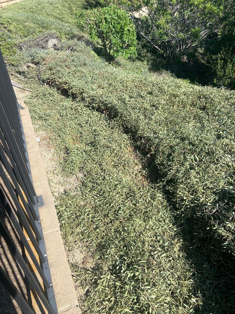 PARK WEST LANDSCAPE - 11 Reviews - 22421 Gilberto, Rancho Santa Margari