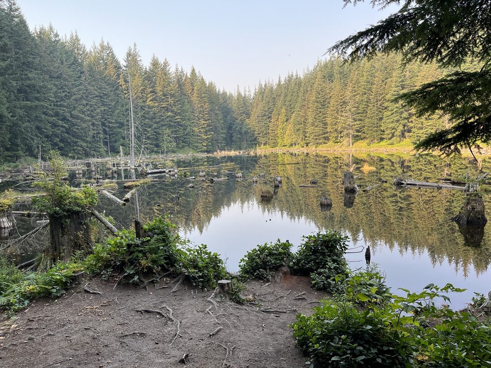 Oyster Dome Trail Image