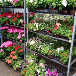 Blume aktuell