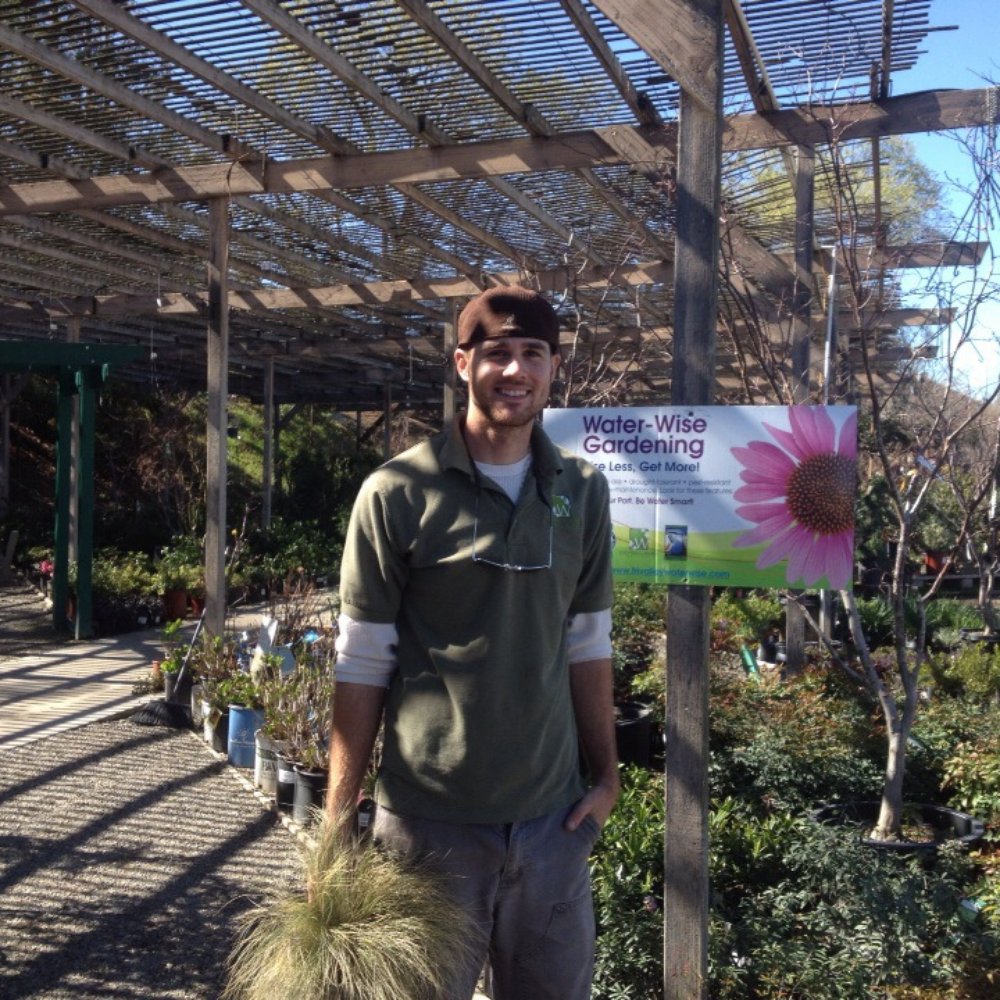 Western Garden Nursery - Jason the best get him to do your consulting. - Nurseries & Gardening Near Me - Pleasanton, California Western Garden Nursery - Jason the best get him to do your consulting. - Nurseries & Gardening Near Me - Pleasanton, California