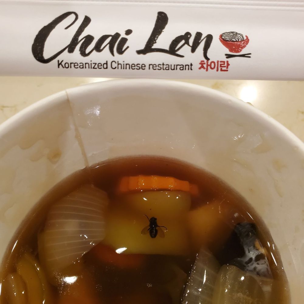 Chai Lan - This is DISGUSTING!  A fly in my sweet sour pork sauce.  Never eating here again. - Chinese Near Me - Irvine, California