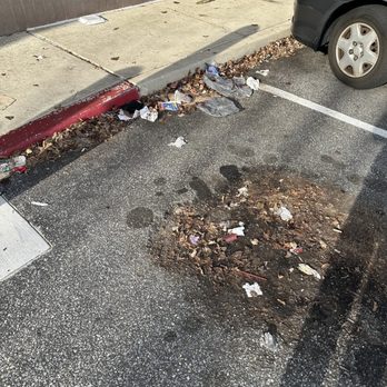 Walgreens - Trash in the parking lot - Drugstores Near Me - Springfield, Pennsylvania
