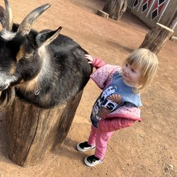 Boma African Petting Zoo - March 2022