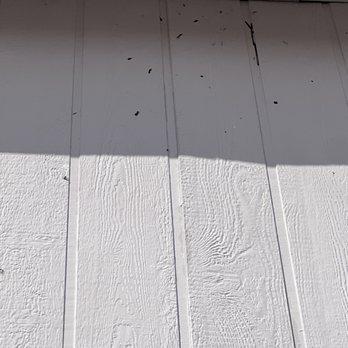 Eco Valley Pest Control - Holes that were wired shut, so they wouldn't become a second entry point for the thousands of birds in my area. - Pest Control Near Me