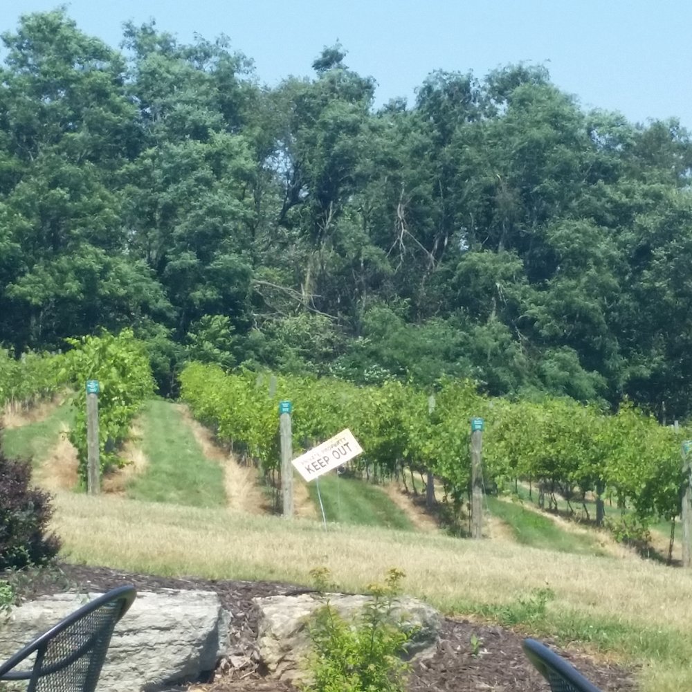 Baraboo Bluff Winery - The vineyards - Wineries Near Me - Baraboo, Wisconsin Baraboo Bluff Winery - The vineyards - Wineries Near Me - Baraboo, Wisconsin