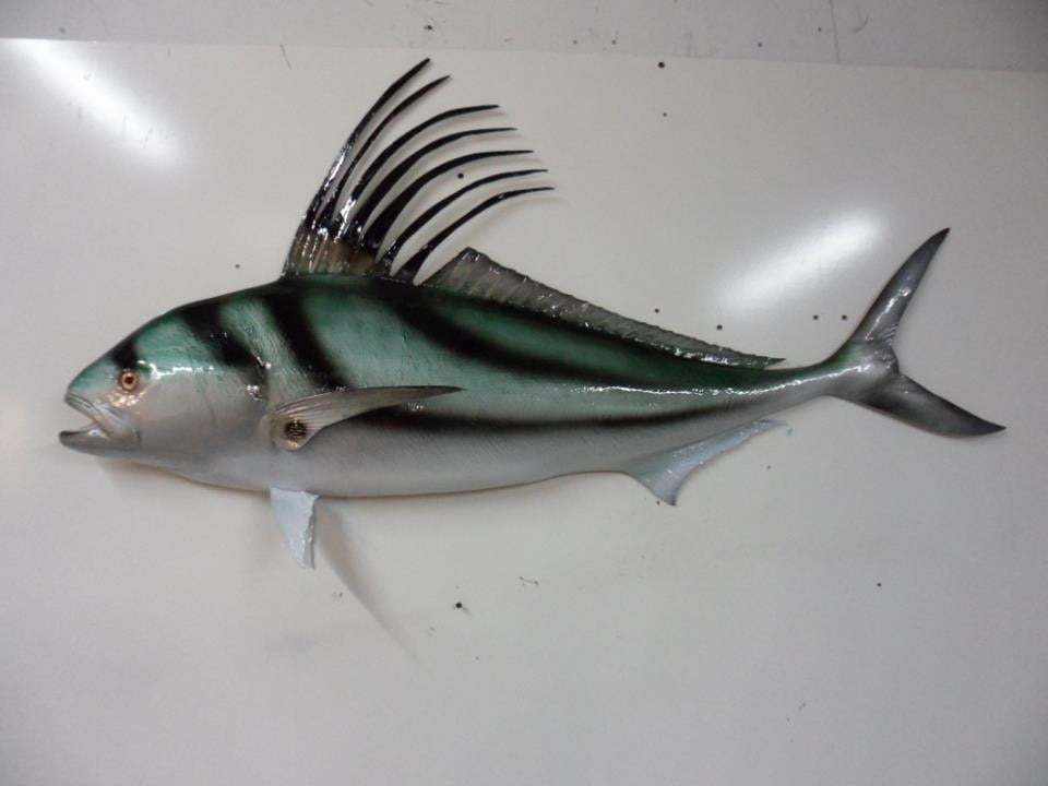 Brown's Taxidermy & Nautical Sculptures - taxidermy in Cape Canaveral, FL