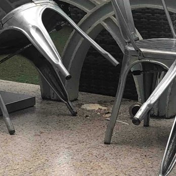 Beds N' Drinks - Vomit on patio - Hostels Near Me - Miami, Florida