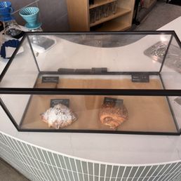 Pastries