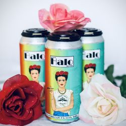 Project Halo Brewing - Cold IPA