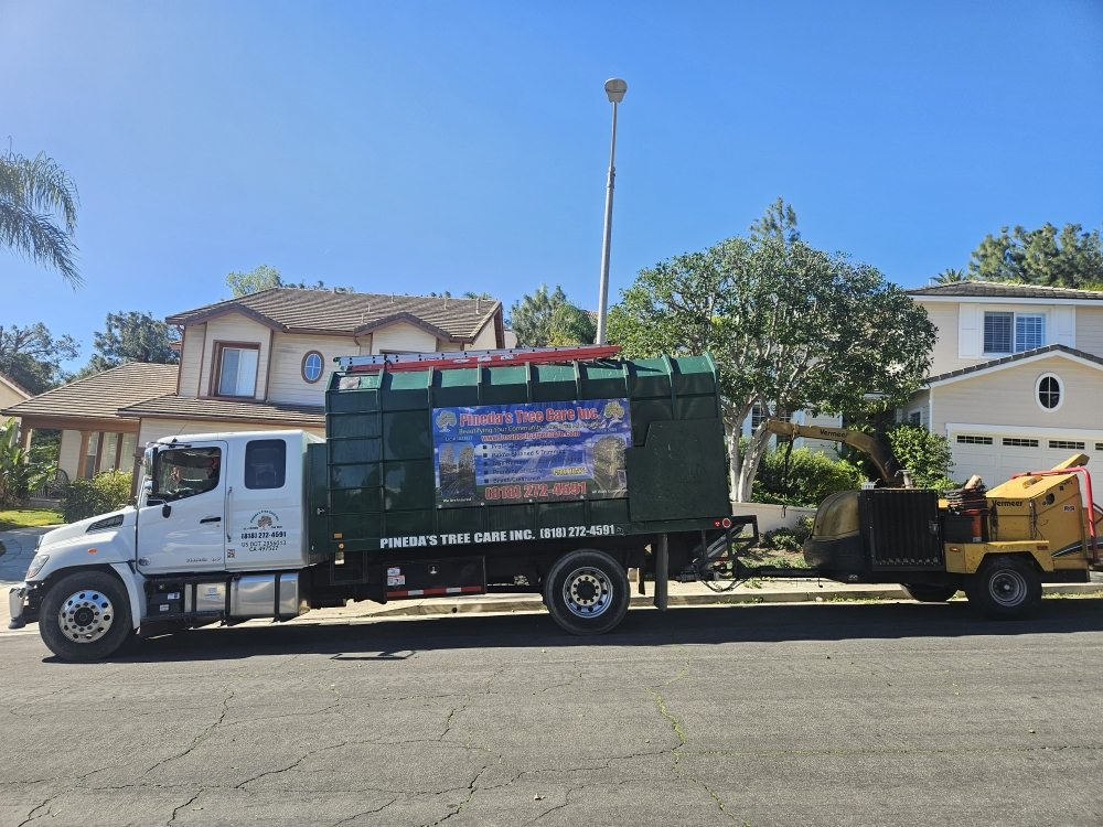Pineda's Tree Care - tree service in Los Angeles, CA