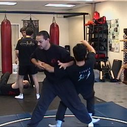 Real Combat Science of Martial Arts - Arm Break