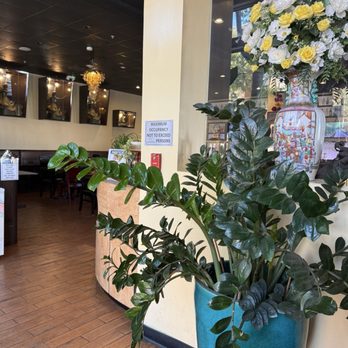 Best Thai - Thai Near Me - Frisco, Texas Best Thai - Thai Near Me - Frisco, Texas