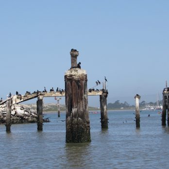 Monterey Bay Eco Tours - Boat Tours Near Me - Moss Landing, California Monterey Bay Eco Tours - Boat Tours Near Me - Moss Landing, California