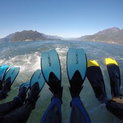 Sea Dragon Charters