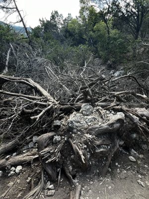 Balcones Canyonlands National Wildlife Refuge by null