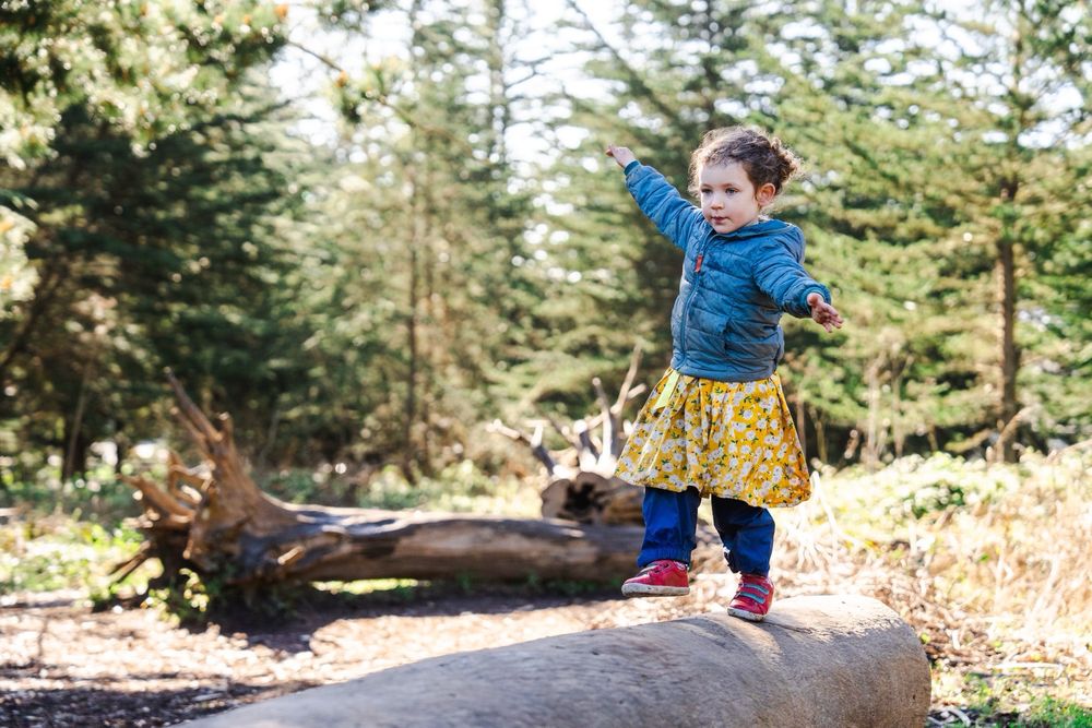 Parks Plus Creation - childcare center in San Francisco, CA