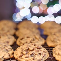 For Love of the Cookie - Gourmet chocolate chip cookies