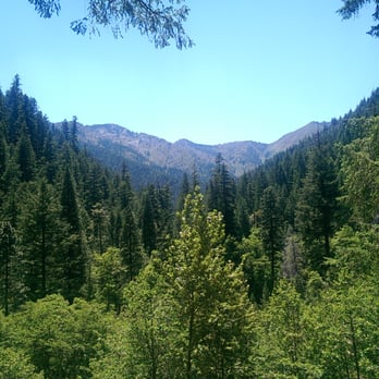 Lakeview Terrace Resort - What a view....i loved my hike by our cabin - Resorts Near Me - Lewiston, California Lakeview Terrace Resort - What a view....i loved my hike by our cabin - Resorts Near Me - Lewiston, California
