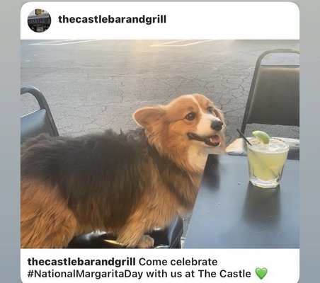 The Castle Sports Bar and Grill by null