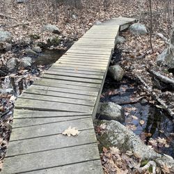Essex County Greenbelt Assn - Wooden path