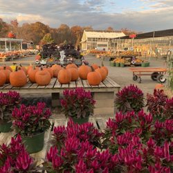 Secor Farms - Garden area