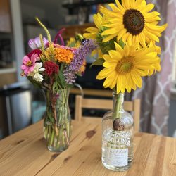 The Sunflower Garden