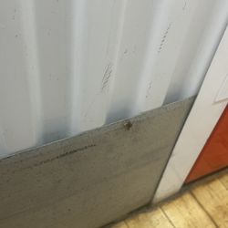 U-Haul Moving & Storage of Malden Center - Dead roach