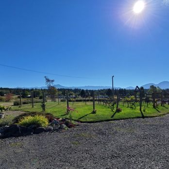Olympic Cellars - Vineyards - Wineries Near Me - Port Angeles, Washington Olympic Cellars - Vineyards - Wineries Near Me - Port Angeles, Washington