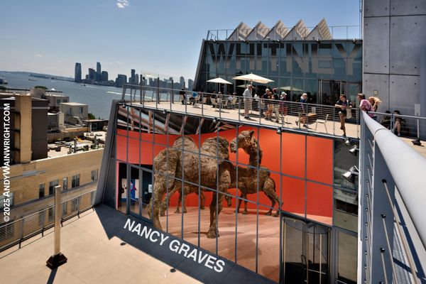 Whitney Museum of American Art by null