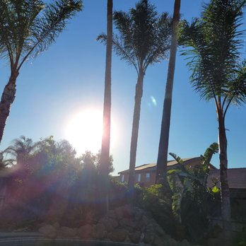 JP's Palms Trimming - Tree Services Near Me - Tracy, California