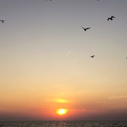 Endorfins Fishing Charter Service - Sunset