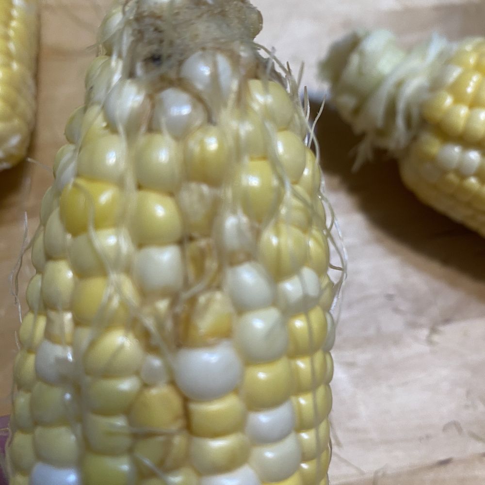 Melick's Farm Market - Corn - Fruits & Veggies Near Me - Oldwick, New Jersey Melick's Farm Market - Corn - Fruits & Veggies Near Me - Oldwick, New Jersey