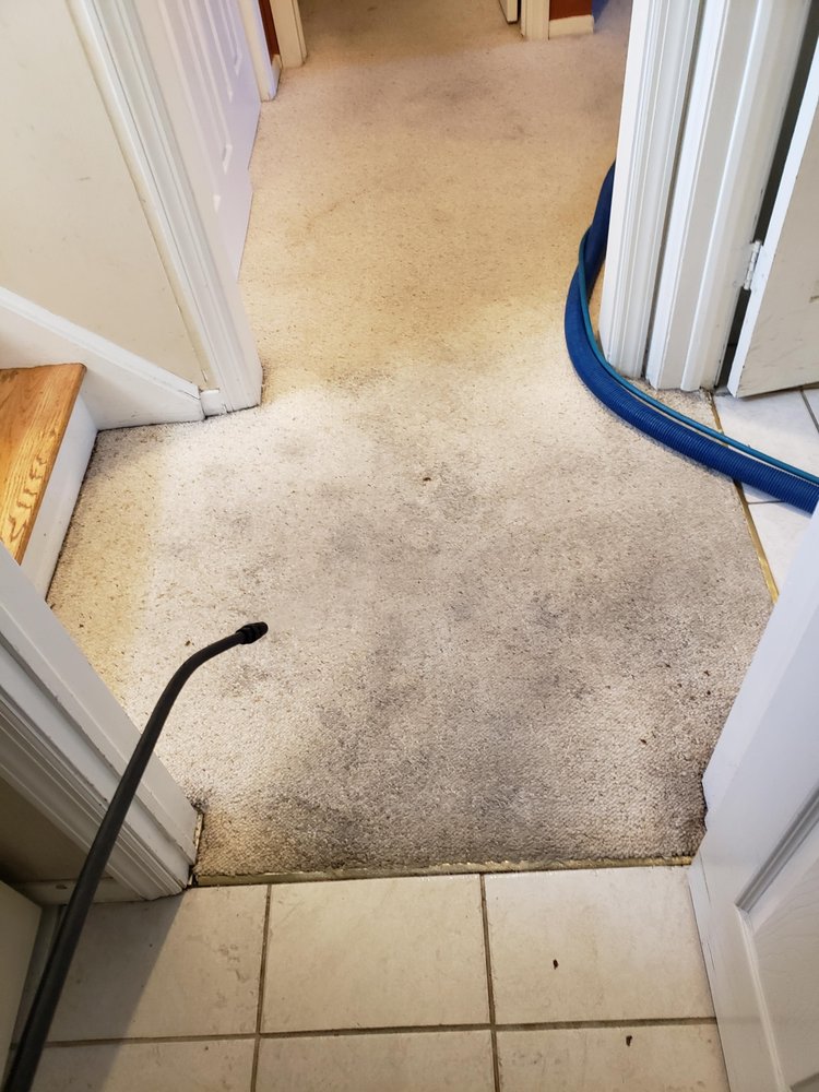 MR G’S CARPET CLEANING Updated August 2024 13 Photos & 10 Reviews