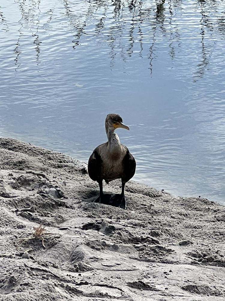 Social spots from Pondhawk Natural Area