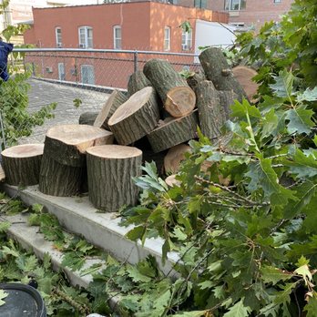 Morales Brothers Tree Service - Tree Services Near Me - Fairview, New Jersey Morales Brothers Tree Service - Tree Services Near Me - Fairview, New Jersey