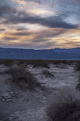 Mesquite Spring Campground by null