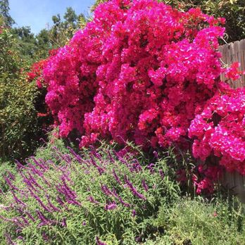 San Ysidro Ranch - Hotels Near Me - Montecito, California San Ysidro Ranch - Hotels Near Me - Montecito, California