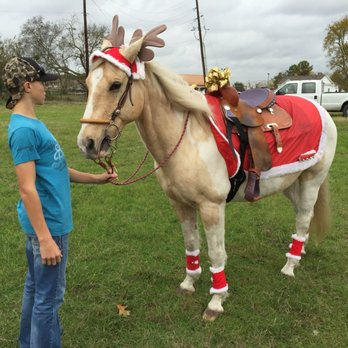 Banshee Ranch - Getting ready to ride in the annual Christmas parade. - Horseback Riding Near Me - Montgomery, Texas