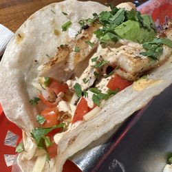 Pro Steamer Carpet Cleaner - Walleye fish tacos.
