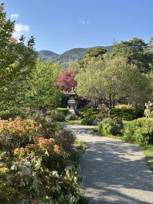 Zenkōji temple by null