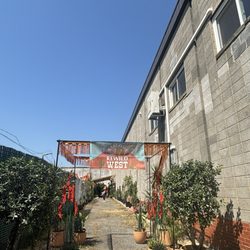 They put on some fun, themed events.