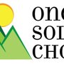 Photo of One Solid Choice