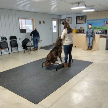 Oakley’s Adventures 101 - Pet Training Near Me Oakley’s Adventures 101 - Pet Training Near Me