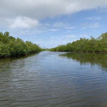 Surferbus.com - Rafting/Kayaking Near Me - Bradenton, Florida